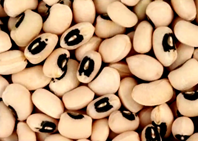 Black Eye beans ( बोडी )