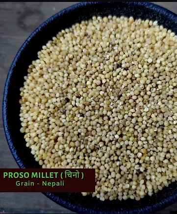 Proso Millet ( चिनो )