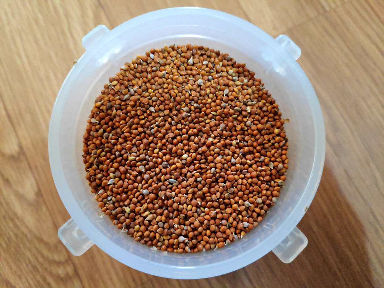 Kaguno ( कगुनो ) 1 kg