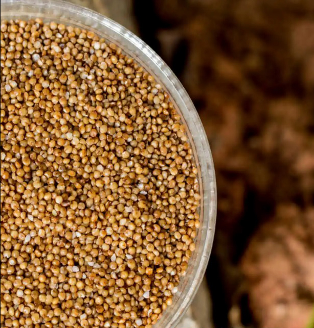 Millet (कोदो) 1 Kg