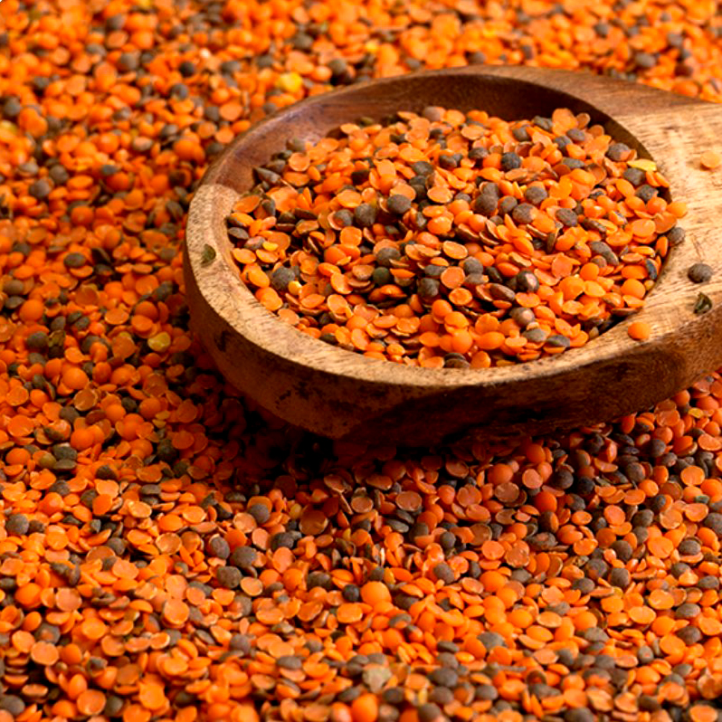 Musuro (मुसुरोको दाल) 1 Kg