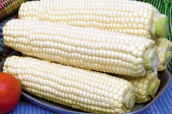 white corn (सेतो मकै) 1 Kg